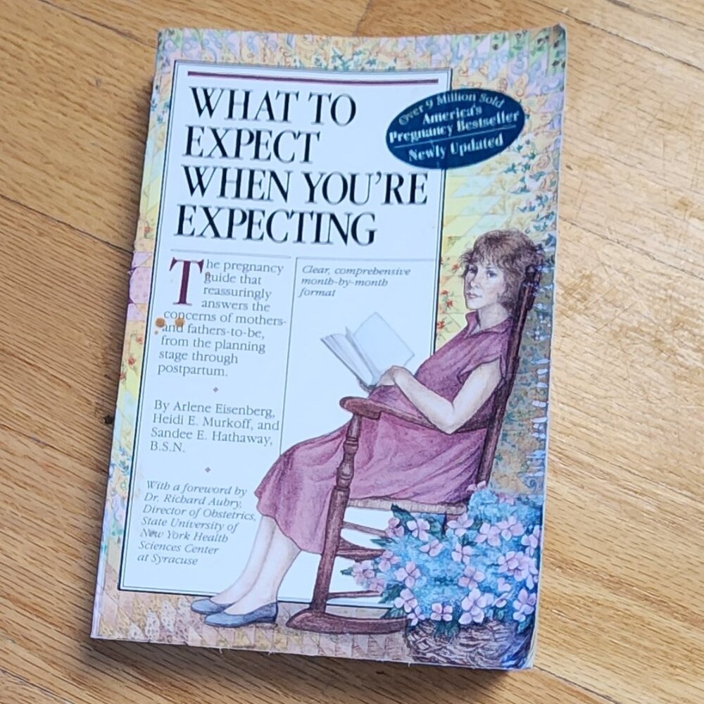 What To Expect When You Are Expecting Paperback